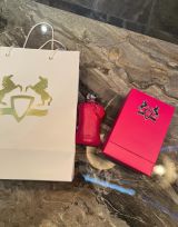 Миниатюра Индивидуалка Снежана Фотография 